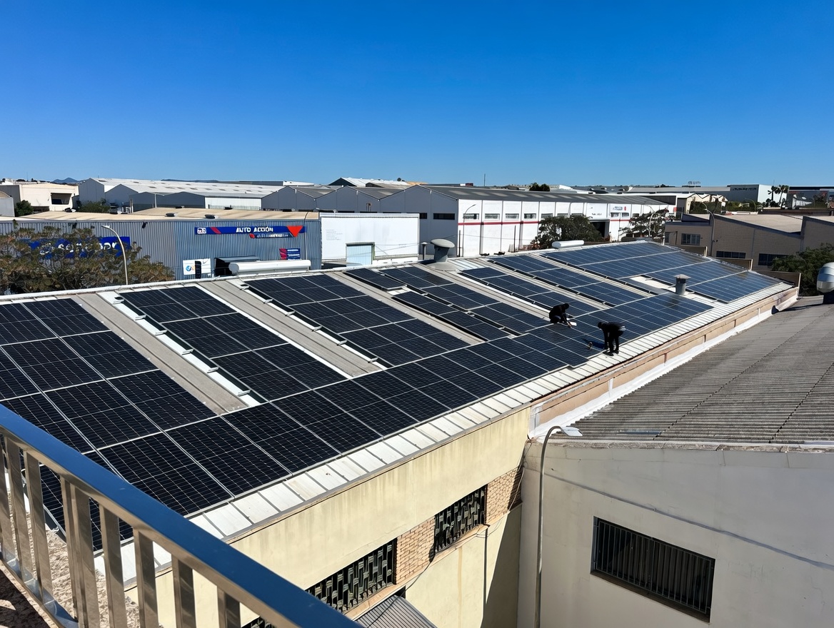 Paneles solares en la cubierta de la planta